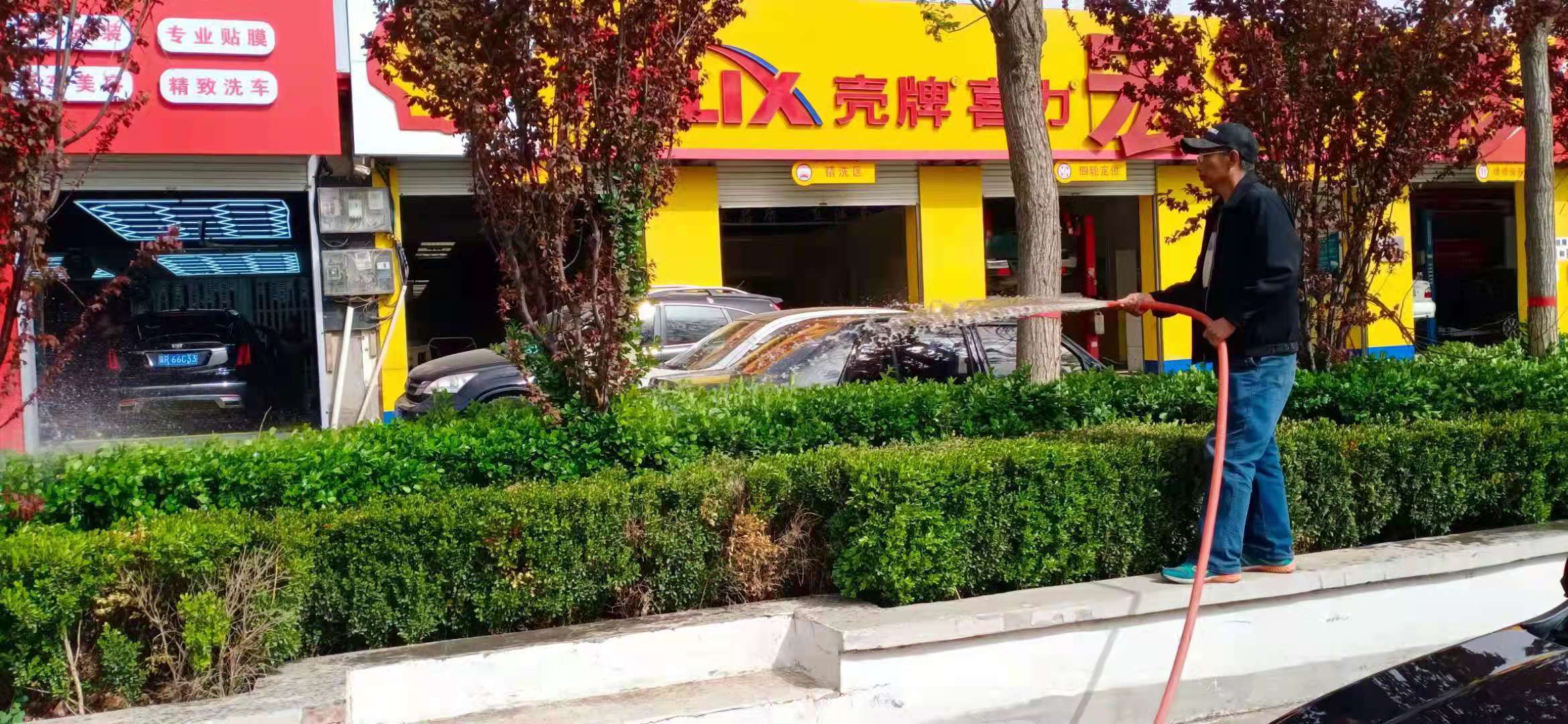 豐利路養護項目